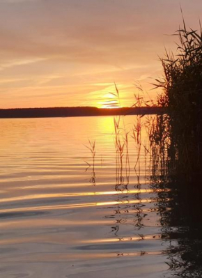 SeenSucht & Urlaubsträume, Ferienwohnung 